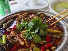 -高坎一品甲鱼庄(两河店)