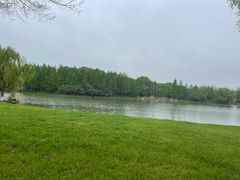 -贡湖湾湿地公园