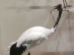 -中国湿地博物馆