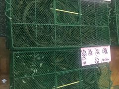 -荔城生鲜盛宴(番禺旗舰店)