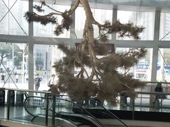 -金光华广场