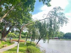 -映月湖公园