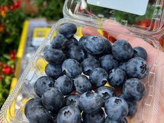 -家乐福(古北店)