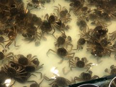 -星伦多自助料理·涮烤一体(杭州来福士店)