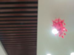 -西塔大冷面(市府大路店)