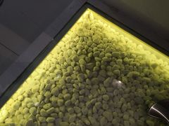 -狐狸和向日葵(北京路店)