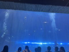 -华夏文旅海洋公园