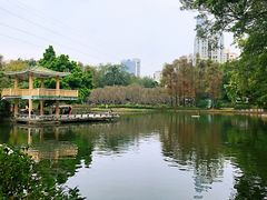 -晓港公园
