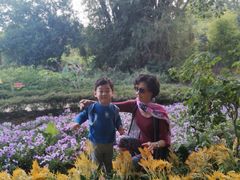 -广西壮族自治区药用植物园