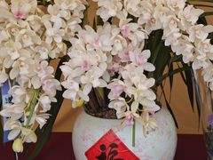 -上海鲜花港