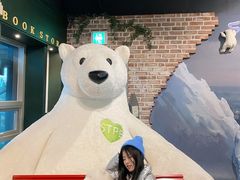 -济州岛泰迪熊博物馆