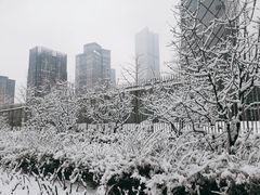 -中央广播电视总台(光华路办公区)