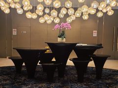 -苏州金鸡湖文博诺富特酒店