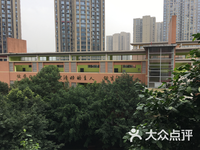 人民融侨小学图片 第5张