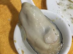 -蚝专家(北滘店)