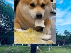 -白塘生态植物园