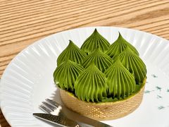 -猫里有甜