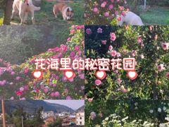 -黑龙潭风景区