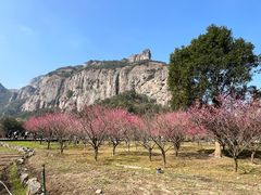 -雁荡山风景名胜区