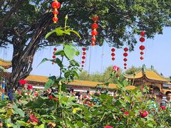 -宝墨园景区