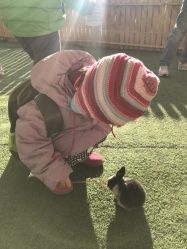 -萌宠亲子动物乐园(槐房万达店)