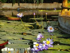 -国家植物园南园