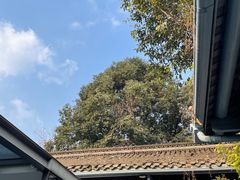 -三联韬奋书店(宽窄巷子店)