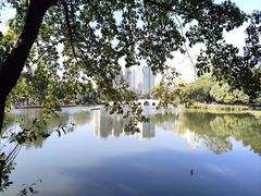 -荔湾湖公园