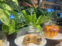 -The Lounge大堂酒廊·咖啡·沙拉·下午茶(金茂深圳JW万豪酒店)