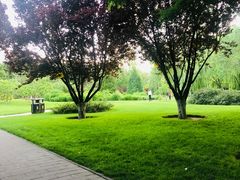 -中华世纪坛-停车场