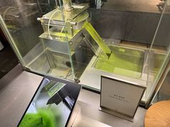 -雪绿茶博物馆