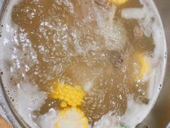 -掂档潮汕牛肉火锅(沈阳万象城店)