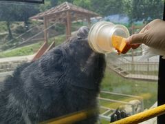 -栾川竹海野生动物园