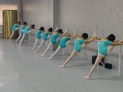 -舞蕾舞蹈(特长生校区)