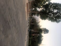 -仙岳公园