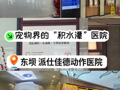 -北京派仕佳德动物医院·超导核磁·CT·神经科·骨科·内外科·急重症管理中心