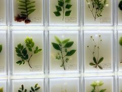 -广东中医药博物馆