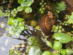 -川匠·睡眠采耳·SPA(九眼桥店)