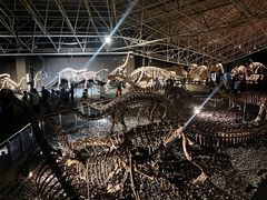 -世界恐龙谷景区