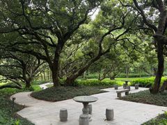 -荔香公园