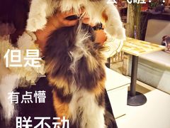 -小时光咖啡馆(开森度假森林店)