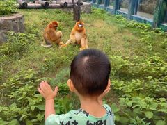 -西安秦岭野生动物园