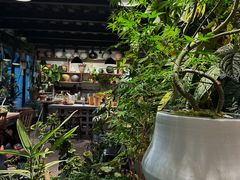 -自由生长植物工作室(深港花卉中心店)