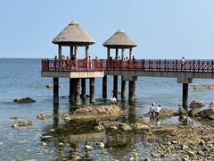 -养马岛旅游度假区