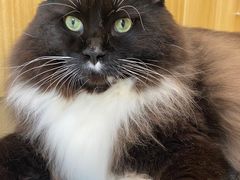 -Pets First伊珊娜洗护·精致美容·家庭式寄养(新会路店)