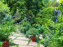 -凤来栖·净庭院·火锅(欧尚店)