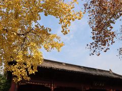 -钱王祠