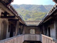 -雁南飞茶田景区
