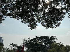 -洲头咀公园