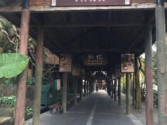 -海南槟榔谷黎苗文化旅游区